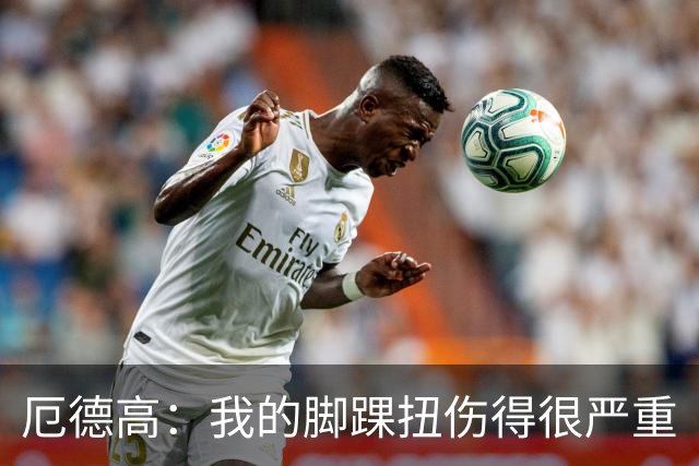 厄德高：我的脚踝扭伤得很严重